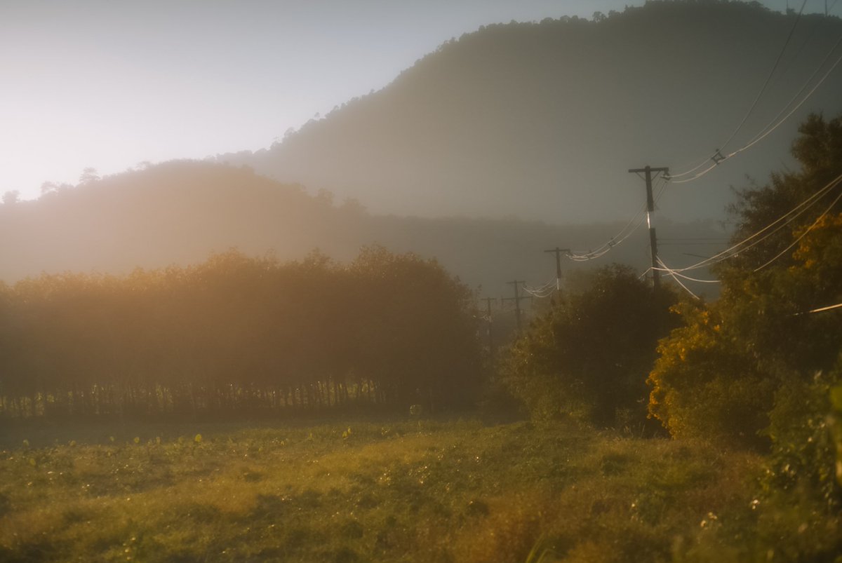 photoboy47's tweet image. แสงแดดในหน้าหนาว
#introvert #photography #สัตหีบ #ระยอง #ชลบุรี