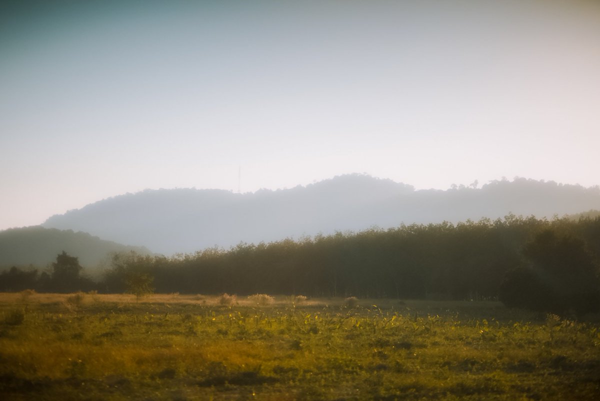 photoboy47's tweet image. แสงแดดในหน้าหนาว
#introvert #photography #สัตหีบ #ระยอง #ชลบุรี