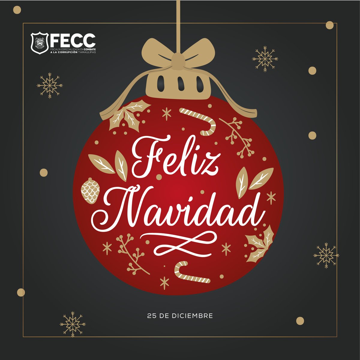 Fiscalía Especializada en Combate a la Corrupción (@fecc_tam) on Twitter photo 