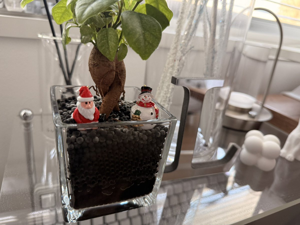 e_r_u_c's tweet image. 𝘸𝘪𝘯𝘵𝘦𝘳 𝘮𝘰𝘳𝘯𝘪𝘯𝘨 ☃︎𖢔𓍄𓃕

#desksetup #winter