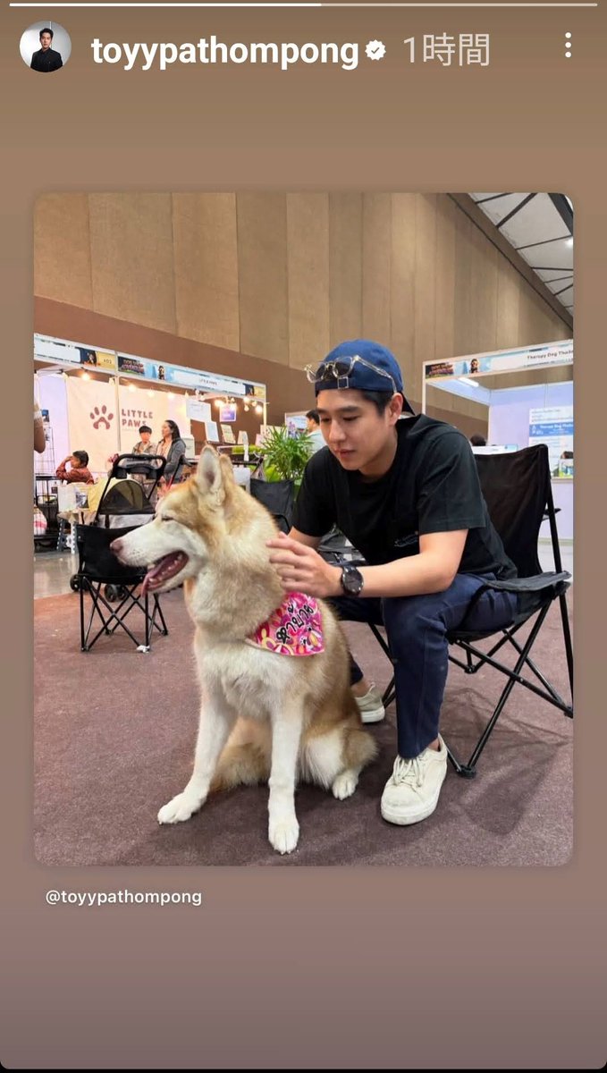 ai_tim2gether's tweet photo. Good morning 🩷 🩷 🩷 🐾🐾
Have a nice day 😊🫶
IGS:toyypathompong
#toyypathompong
#ทอยปฐมพงศ์ https://t.co/GKVahMQYmV
