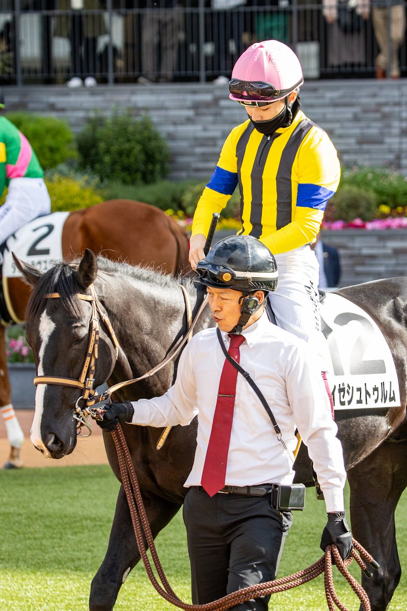 2025.11.29 京都5R 新馬戦 ライゼシュトゥルム&西村淳也騎手 #イスラ