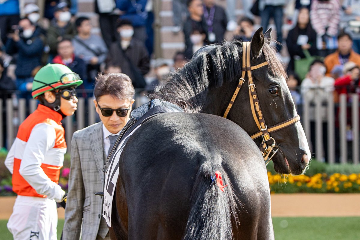 2025.11.29 京都5R 新馬戦 ライゼシュトゥルム&西村淳也騎手 #イスラ