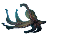 Monday Morning Radio tweet media