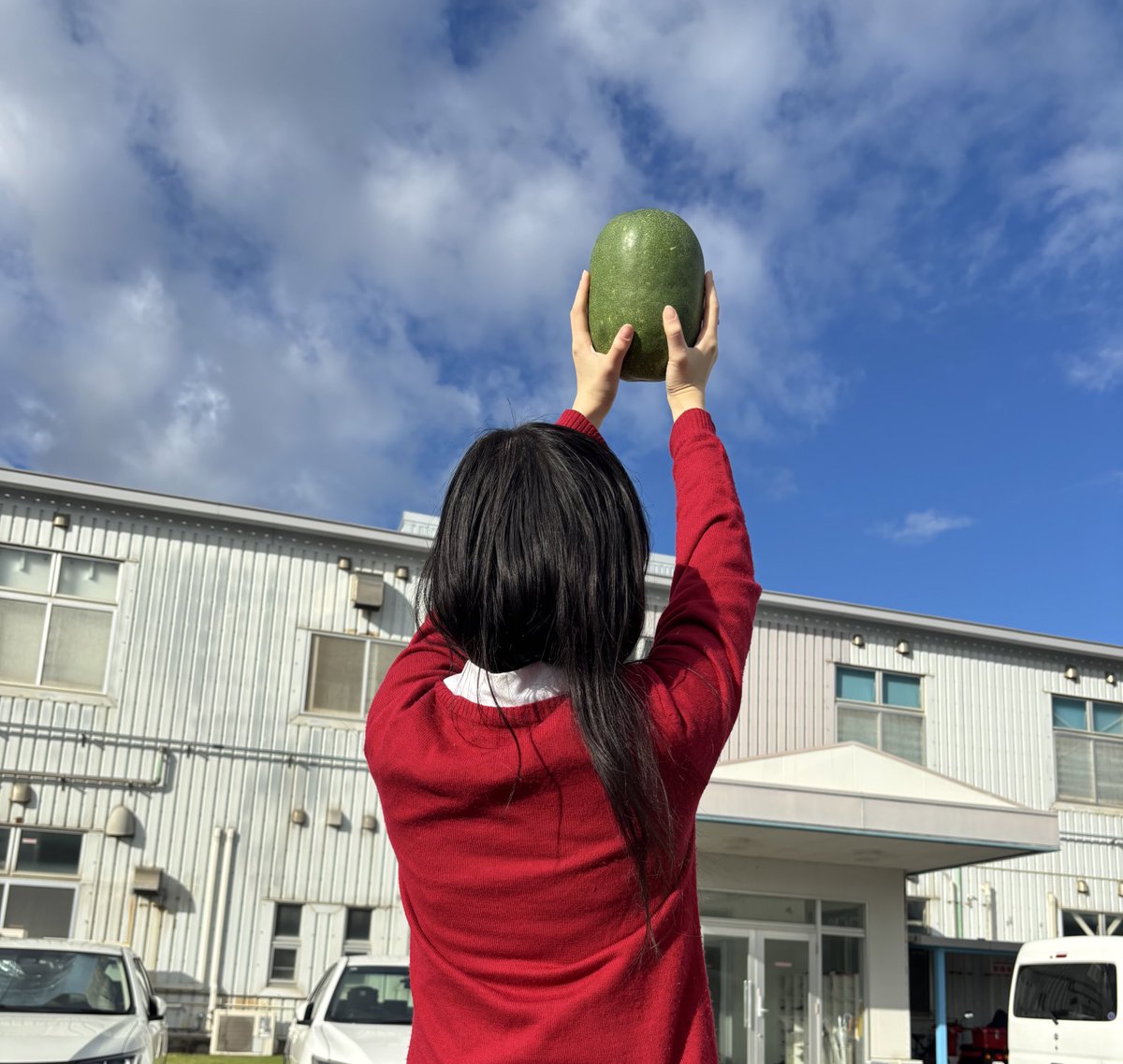 kanehidebio_'s tweet image. おはバイオ〜！
#糸満市西崎町 の天気は晴れ☀️

会社の畑で野菜を育てていた私😤（今は色々あって育てられない😭）そのことを知っている方から冬瓜をいただきました🥳✨寒くなってきたから、お鍋にして食べようかな☺️

#金秀バイオ
#健康食品
#今日の天気
#企業公式が毎朝地元の天気を言う