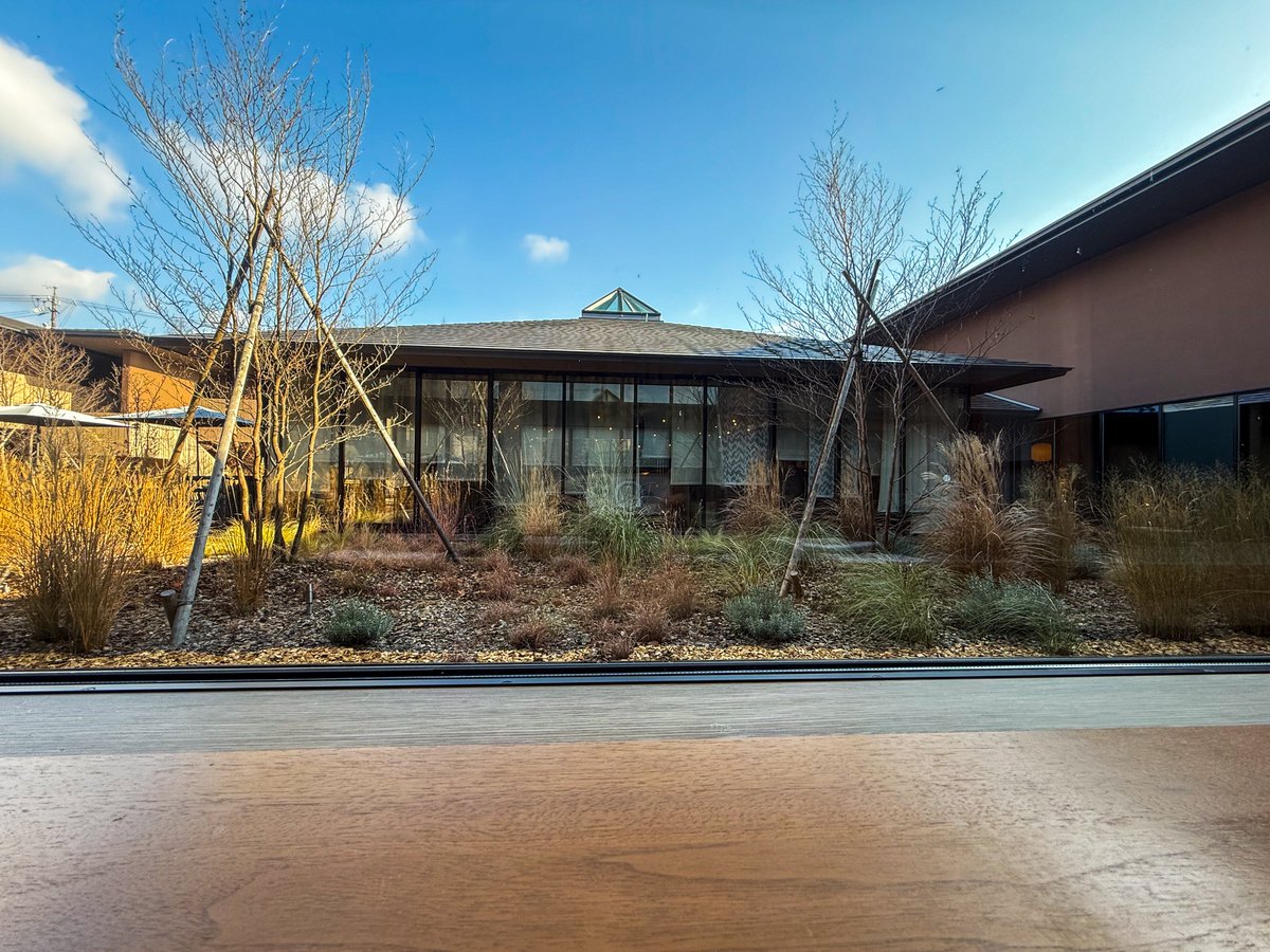 おはようございます☀
良い天気ですね♪