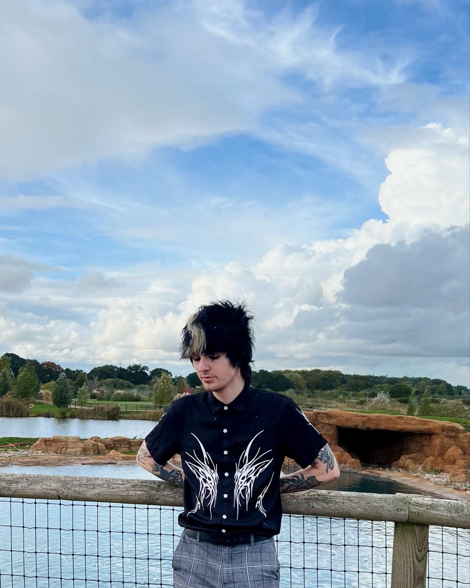 𝕭𝖗𝖆𝖓𝖉𝖔𝖓 𝕯𝖎𝖑𝖑𝖔𝖓 tweet media