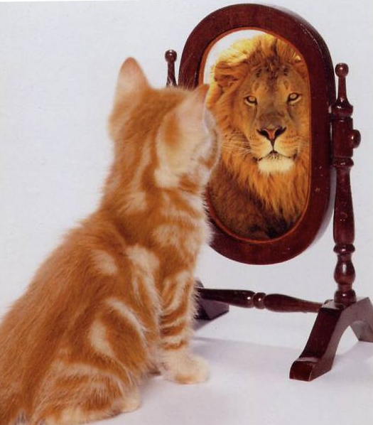 tiolgo's tweet image. Spend months trading a losing strategy because of bias? Been there. Spend weeks coding the perfect backtest, just to realize your ‘edge’ was random noise? Done that.
Trading is brutal. But the real test? Being honest with yourself. 🤯 #Trading #AlgoTrading #Backtesting