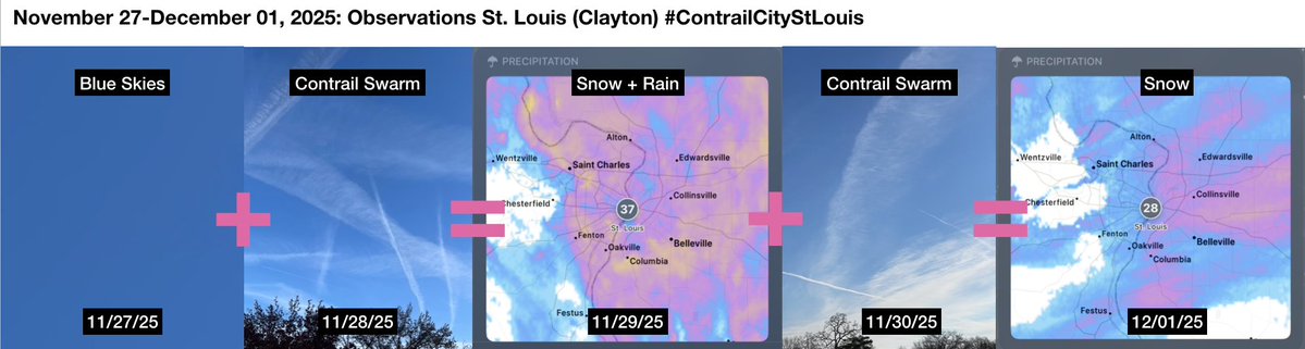 StLouisSkies's tweet image. St. Louis (Clayton) 11/27-12/01/25 Weather patterns observed: Front approaching as clear blue skies fill with heavy #contrails, followed by rain and snow.