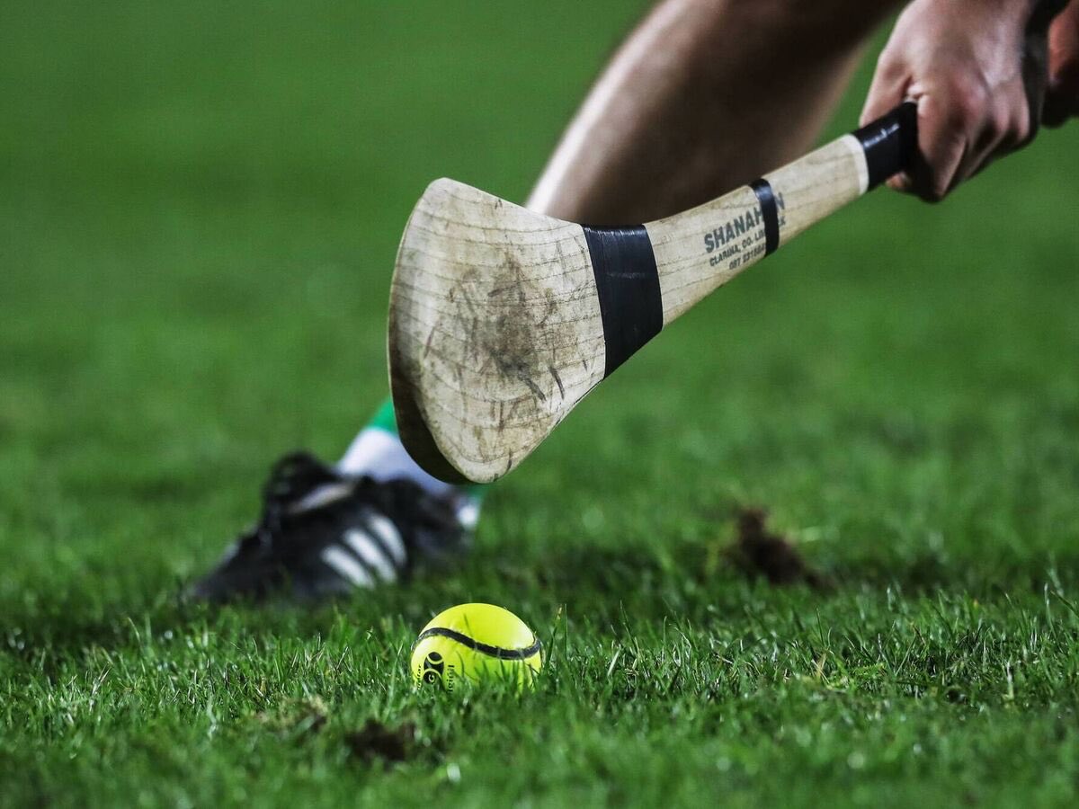 Scoil Mhuire Clane tweet media