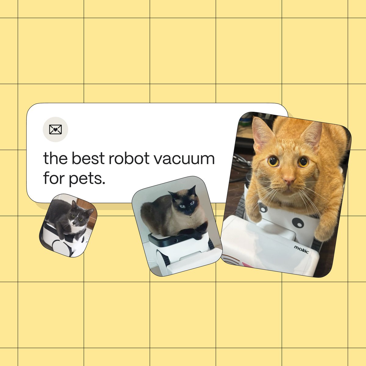 maticrobots's tweet image. Notes From Clean Homes, Vol. 1 🐾

From households with dogs, cats, and fur that never quits.
