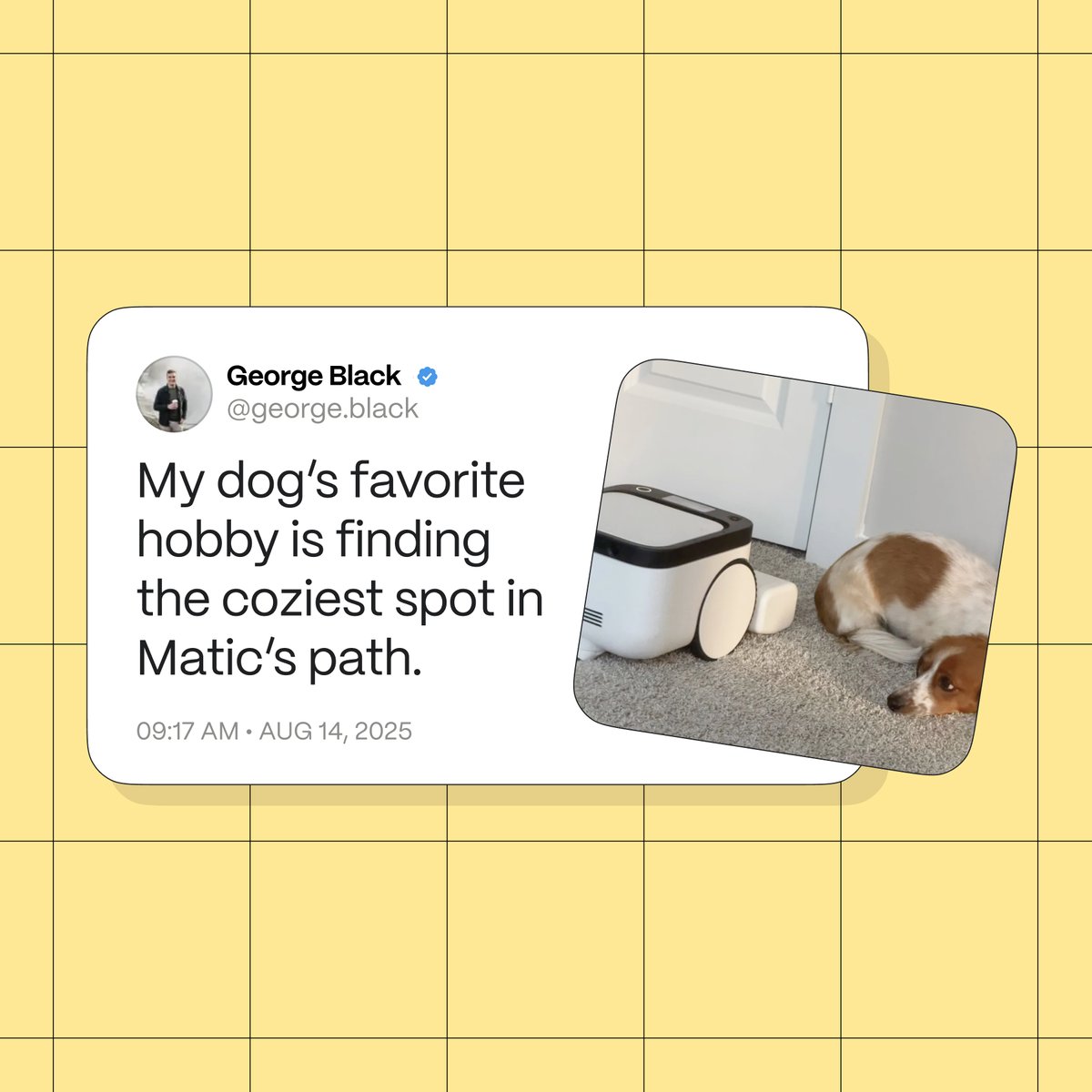 maticrobots's tweet image. Notes From Clean Homes, Vol. 1 🐾

From households with dogs, cats, and fur that never quits.