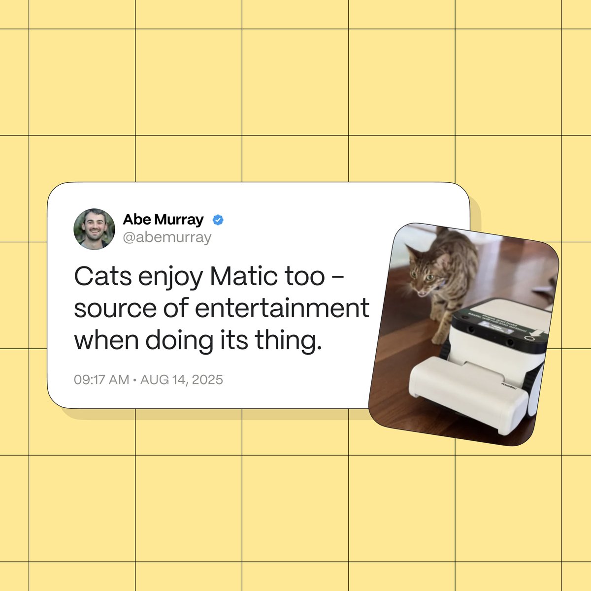 maticrobots's tweet image. Notes From Clean Homes, Vol. 1 🐾

From households with dogs, cats, and fur that never quits.