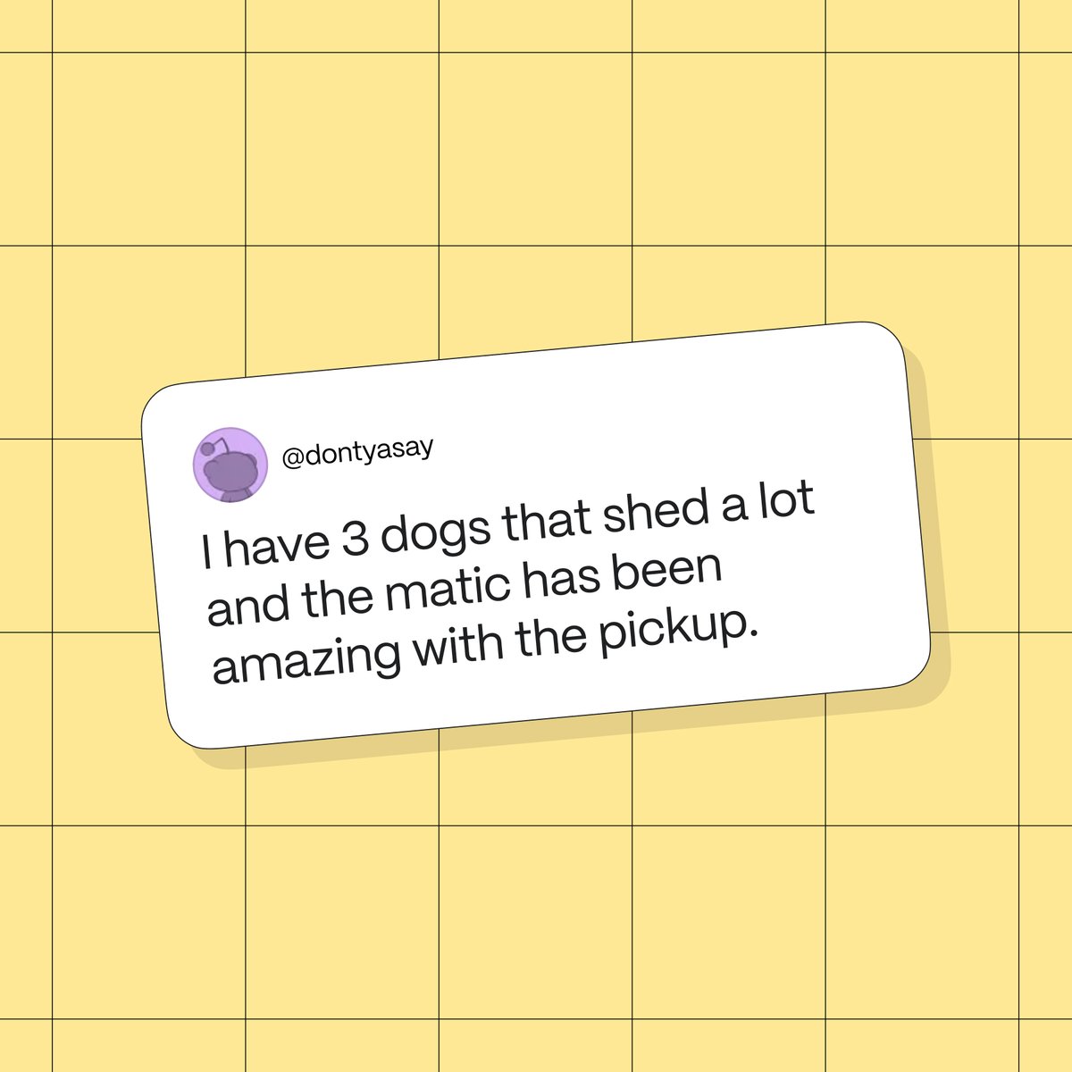 maticrobots's tweet image. Notes From Clean Homes, Vol. 1 🐾

From households with dogs, cats, and fur that never quits.