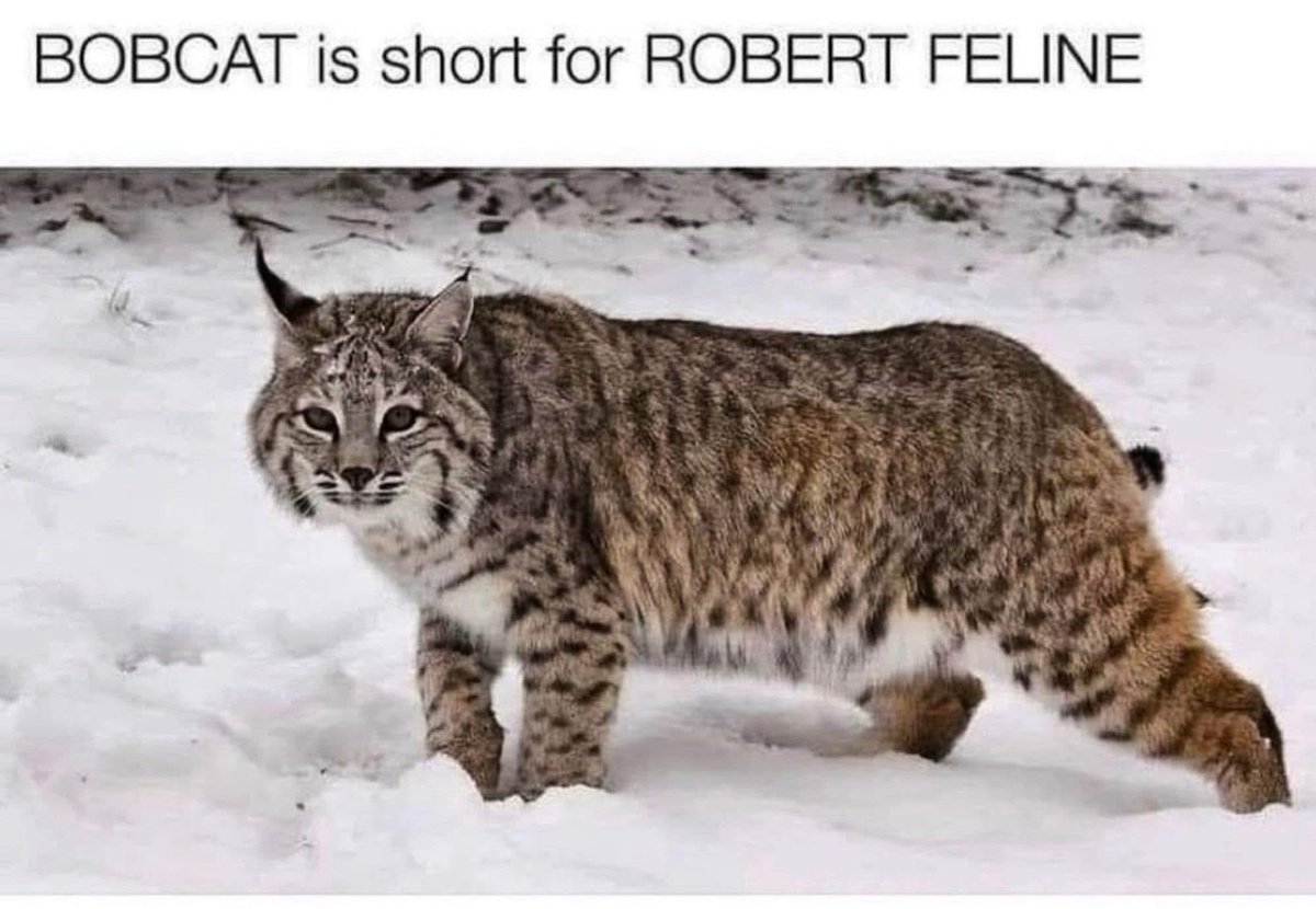 sheenz_m_'s tweet image. This made me snort out my coffee 😂 #funny