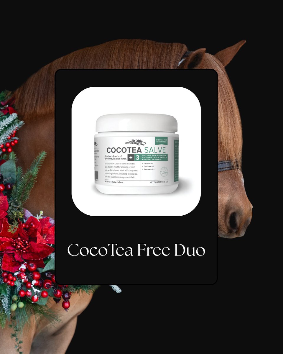EnviroEquine's tweet photo. We’re kicking off 10 Days of EE with a major Day 1 drop! ✨

TODAY ONLY:
🎁 Use code HOLIDAY1 to get our CocoTea Free Duo — two FREE jars of CocoTea Treats with your order!

Tag a friend in the comments and DM us your email + phone number for a $$$ special discount code on us! 💛 https://t.co/I9XwojMddZ