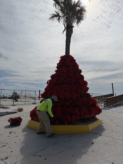 TownofFortMyersBeach tweet media