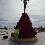 Photo by TownofFortMyersBeach (@TownofFMB)