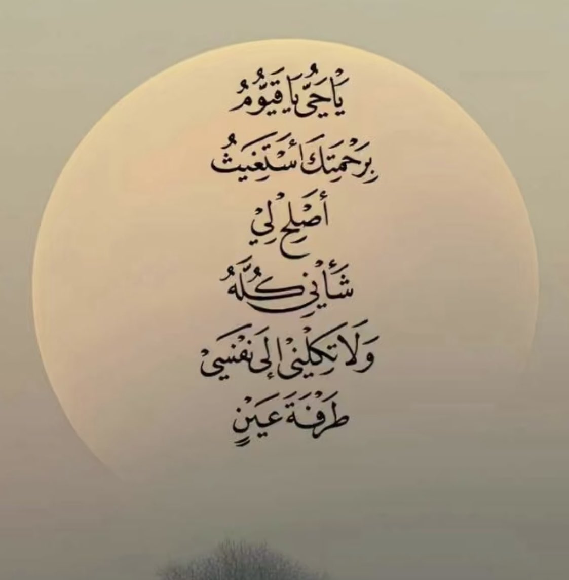 الوتر 🤍

أضيئوا عتمة الليل بنور الوتر واختموا يومكم بخير 
ولعلَّ ركعة واحدة تكون نهاية حُزن ثقيل وبداية
 فرح مقيم🤍

#الوتر_جنة_القلوب