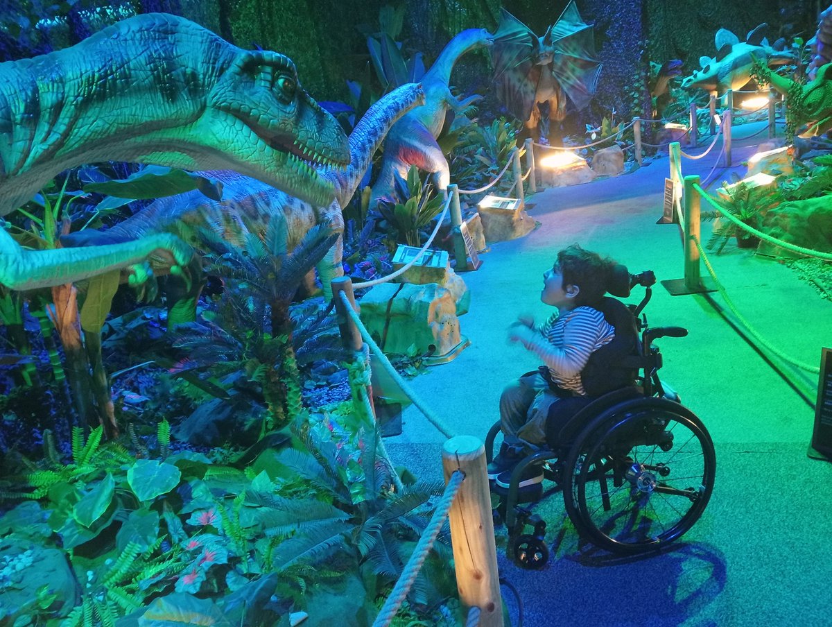 Never forget your power.Harvey a 9 year old boy living with a disability brought the whole country into mourning and furious anger.He brought down the Ableist organization of CHI. He brought the Government to its knees.Don't be afraid to roar back.#JusticeForHarvey