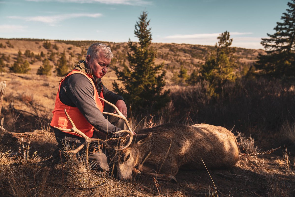 Defiance Machine tweet media