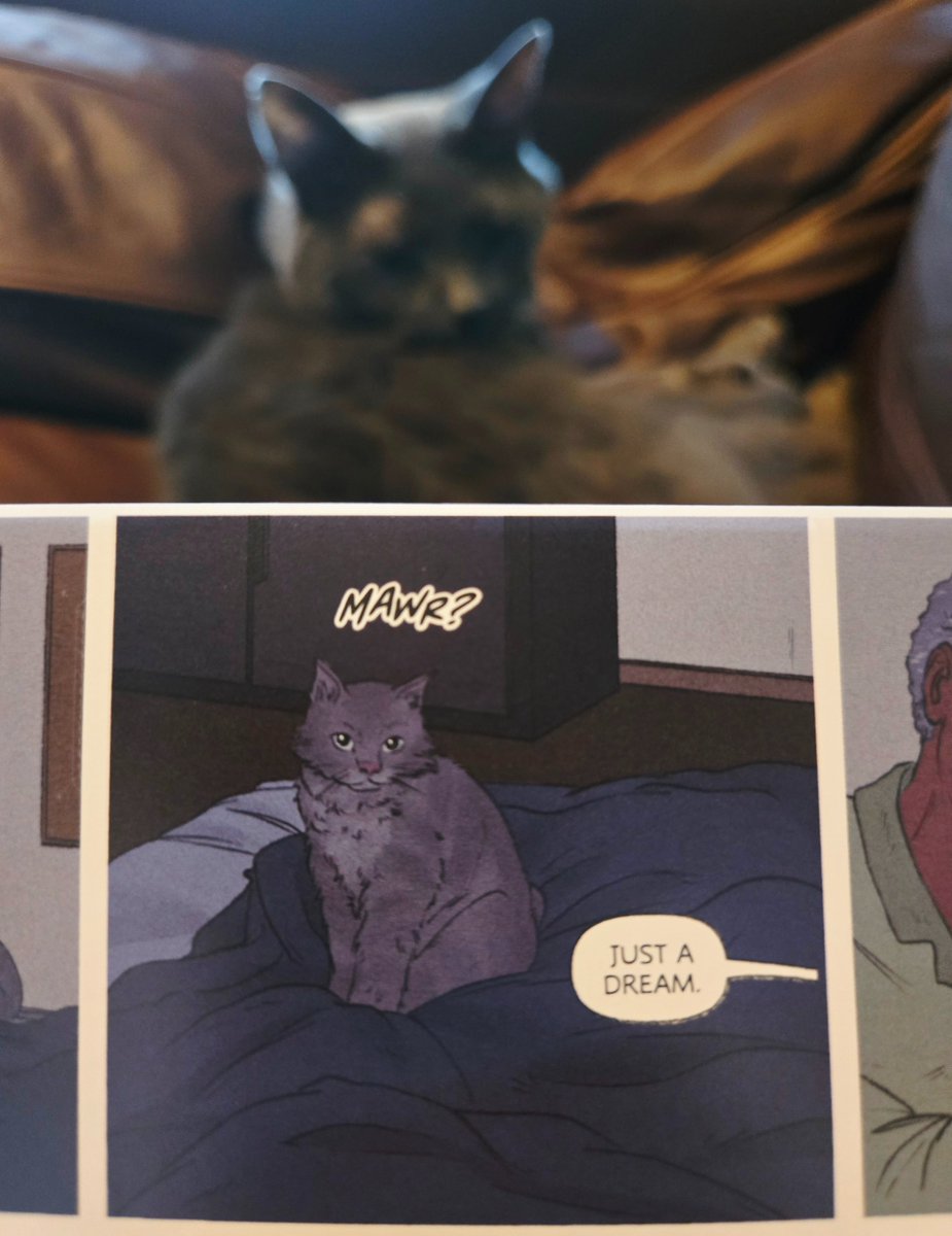 Haley Rose-Lyon tweet media