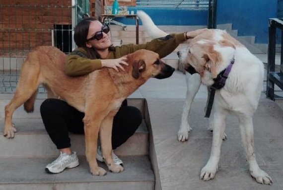 Beibi y Maxi son dos grandullonas de 1 añito y no hay palabras que describan lo bonitas, cariñosas, graciosas, juguetonas y payasas que son.
Nos tienen robado el corazón.
No hay mejor perro que uno grande, de verdad. 
protectoraanimaleslanucia.com