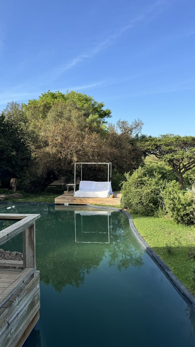 Olwethu Njoloza-Leshabane tweet media