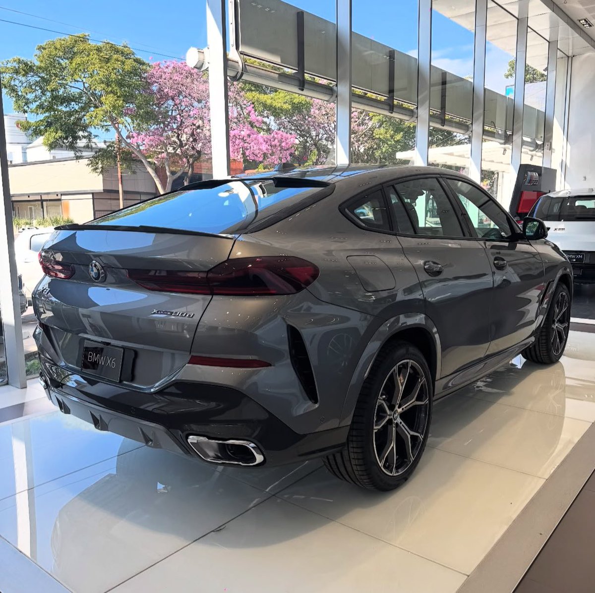 Rodster🇺🇸 tweet media