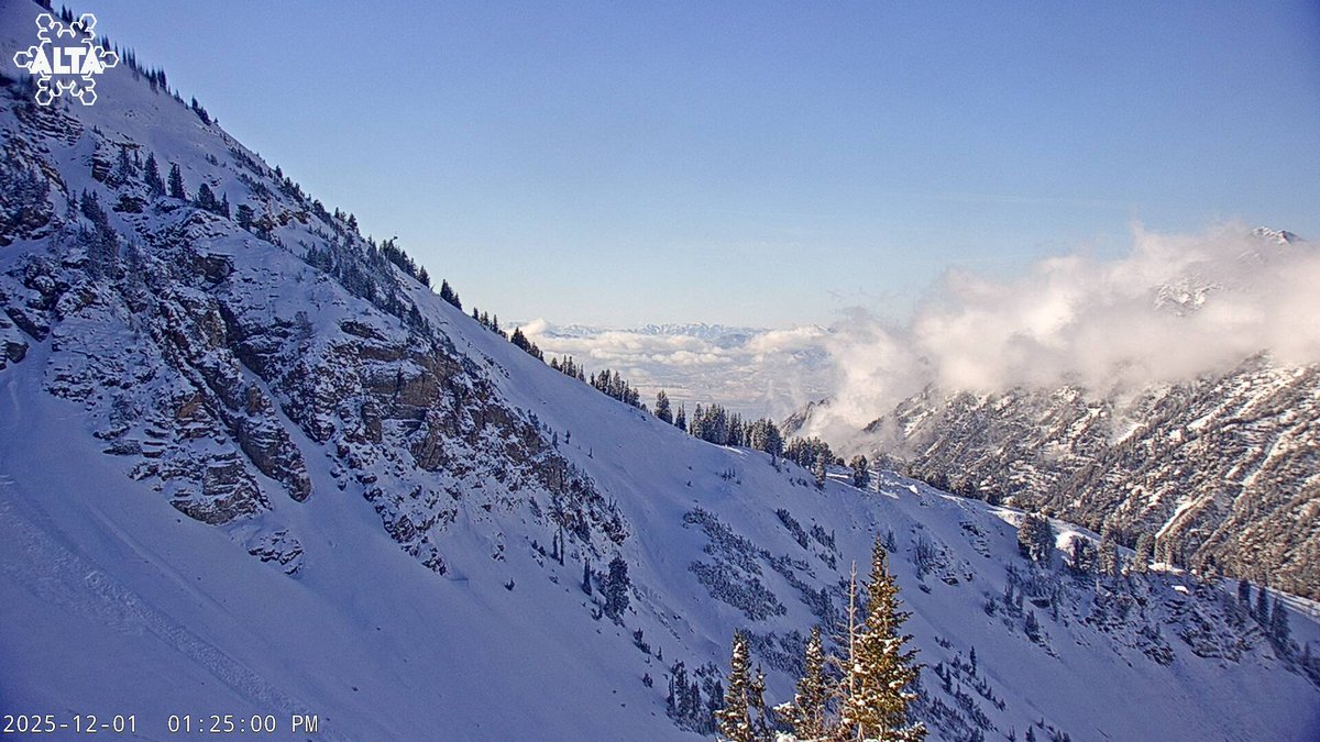 Alta Ski Area tweet media