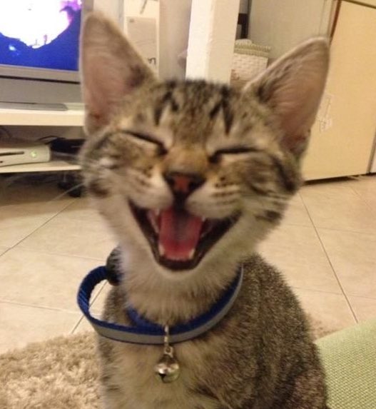 there is no difference