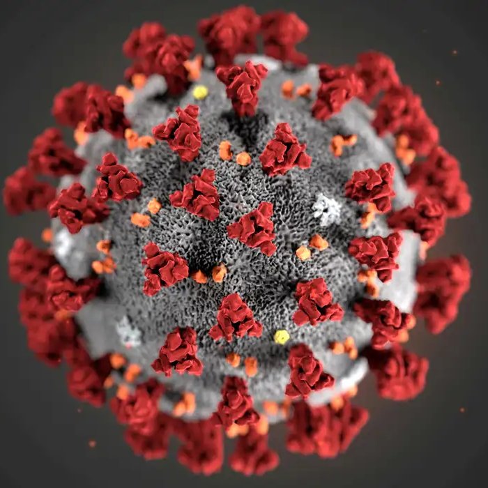 siteptbr's tweet image. Há exatamente 6 anos era registrado, na China, o primeiro caso confirmado de COVID-19.