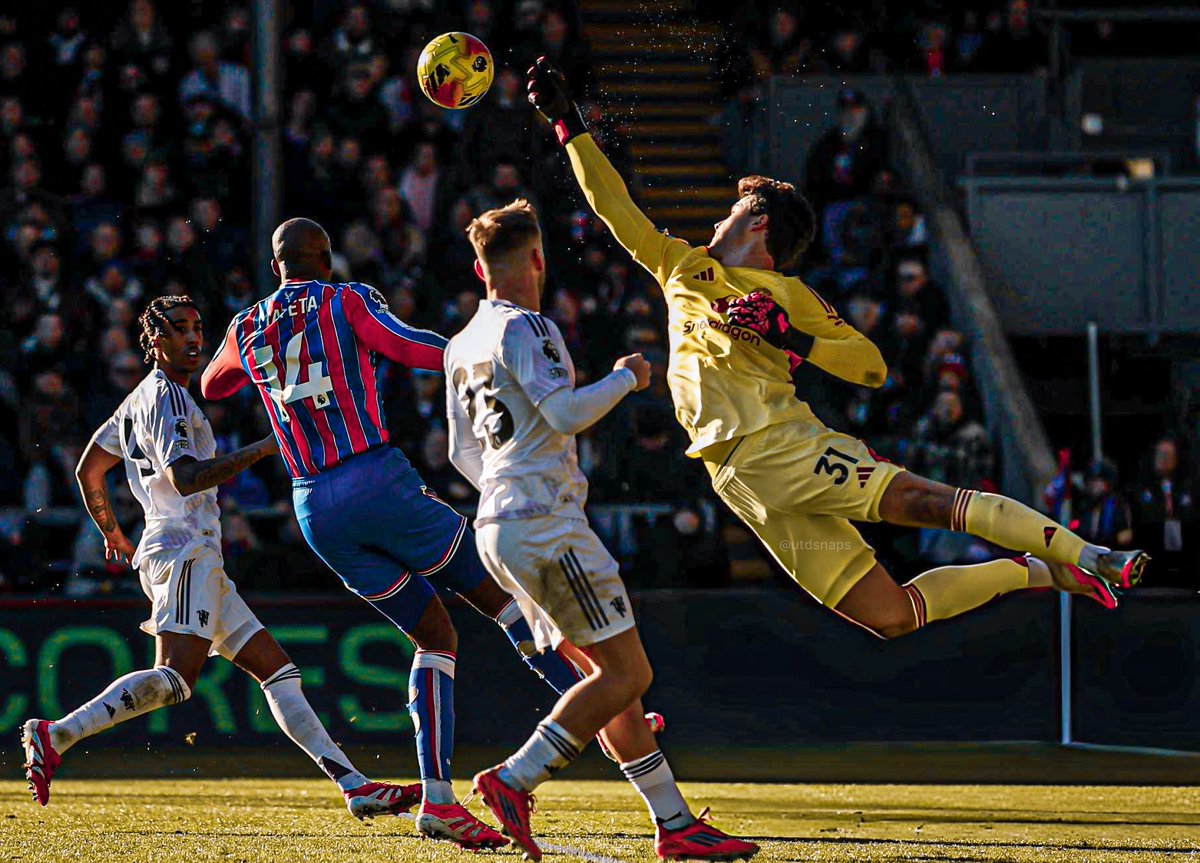 Just Lammens doing Lammens things.