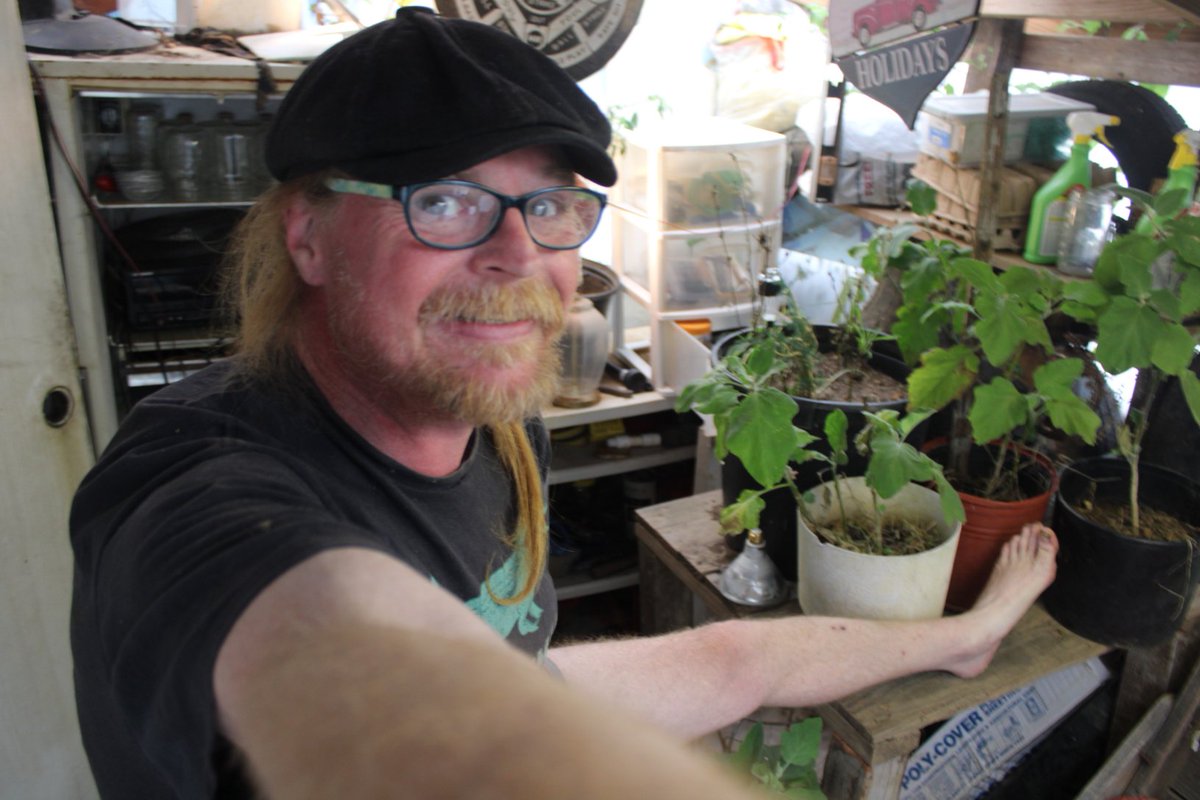 docsanderson's tweet image. #Scientists #Laboratory #Botany #Flowers #Food  #Spouses #Buddies #Mates #SustainableLiving @NatGeo @danpeckwx @Ginger_Zee @Nature G Maggie, time in The Lab, prior to taking Nap. very nice in here after Morning repairing Sisters #Greenhouse Rest Good Beautifuls Mwah Slow&amp;amp;HOT Lee