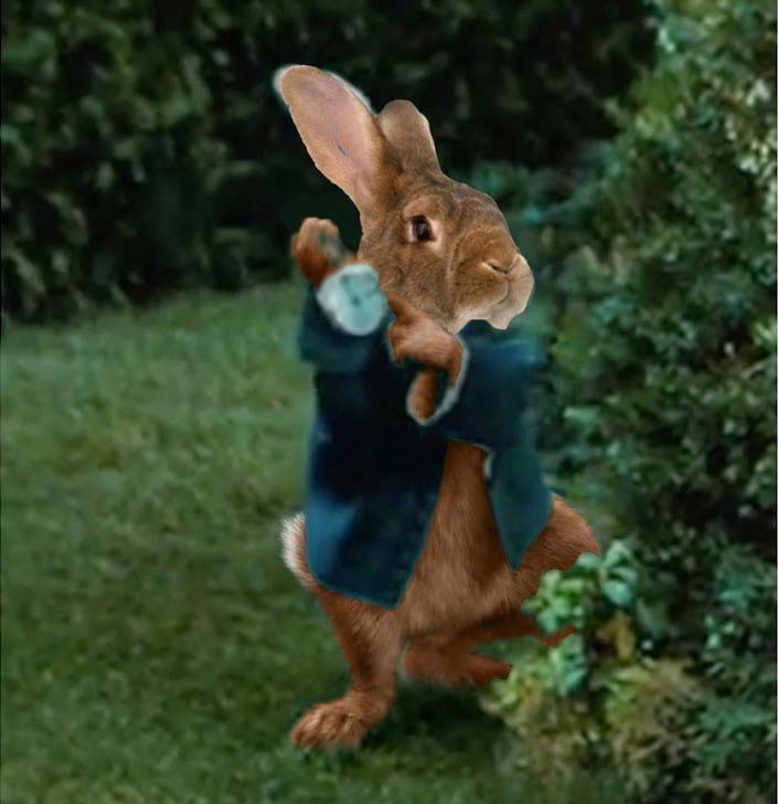 Il tempo è coniglio