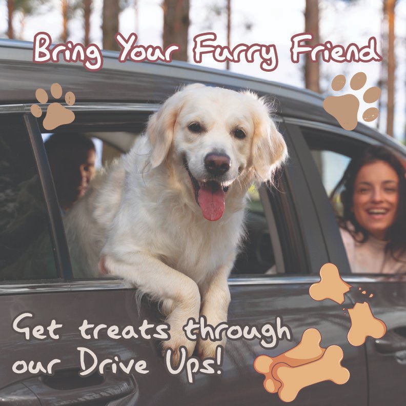 Gale Credit Union tweet media