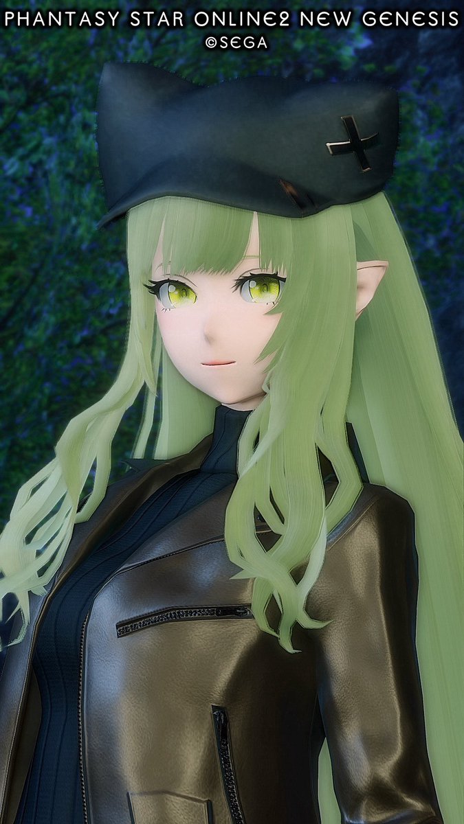 おはようございます！(*⁰▿⁰*)🫛
#PSO2NGS_SS #りずむロゴ