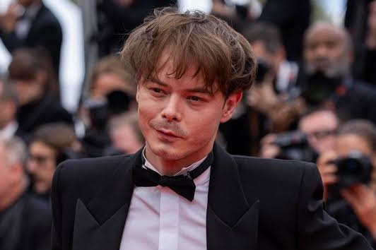 Cam_Oflage's tweet image. don&apos;t really follow Stranger Things but i like that one of the white teenagers looks like a burnt-out middle-aged Japanese detective for some reason