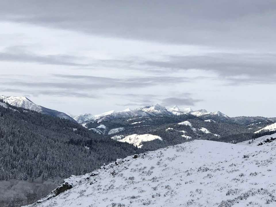 Subhaga Crystal Bacon 🏳️‍🌈✒️ 🏳️‍⚧️ tweet media