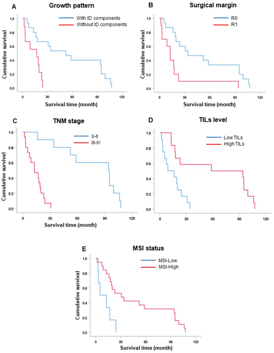 🆕 #LatestPublishedPaper

⭐mdpi.com/journal/jmp⭐

#JMP #JMPMDPI #Cholangiocarcinoma #MicrosatelliteInstability #BethesdaPanel #OpisthorchisViverrini #TumorInfiltratingLymphocytes #TILs #CancerPrognosis #OncologyResearch #CancerBiomarkers