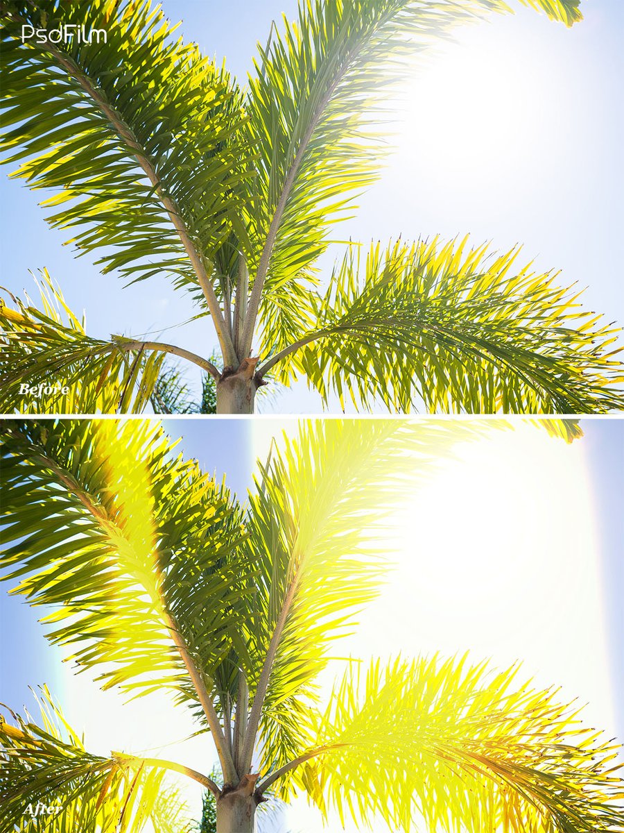 FilterGrade tweet media