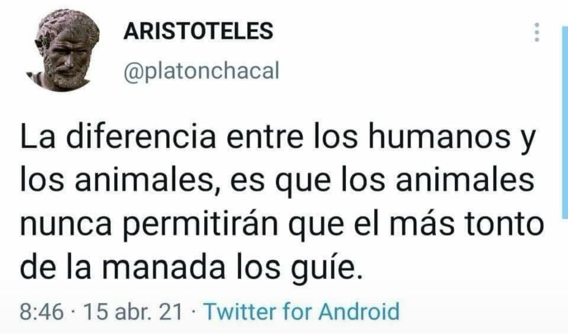 Pepe Torres 🇪🇸 (@pepe__torres) on Twitter photo 