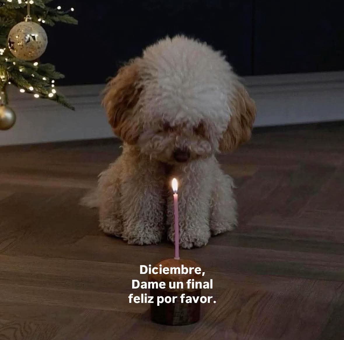 En Júpiter (@en_jupiter_) on Twitter photo 