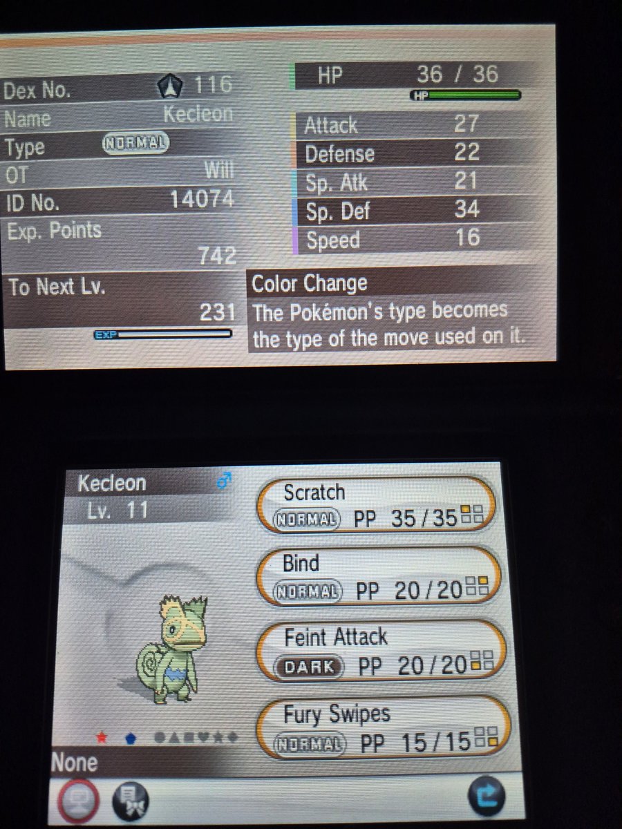 Phase 1 for Honedge done, and it's the 5% from route 6! #Shiny Kecleon during the DTQ on #PokémonX after a measly 970 REs. Lovely surprise ✨️🦎