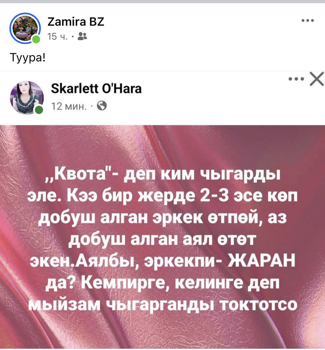 Ушуну эми аял жазып, аял бөлүшүп жатат. 

Эгер булардын логикасына таянсак, парламентте 89 депутат, 1 эле Сурабалдиева олтурмак. 

Тилекке каршы, “патриархалдуу коомдо”мындай мыйзам болбогондо аялдардын чечим кабыл алуу кызматтарга  жетишүү оор болмок.