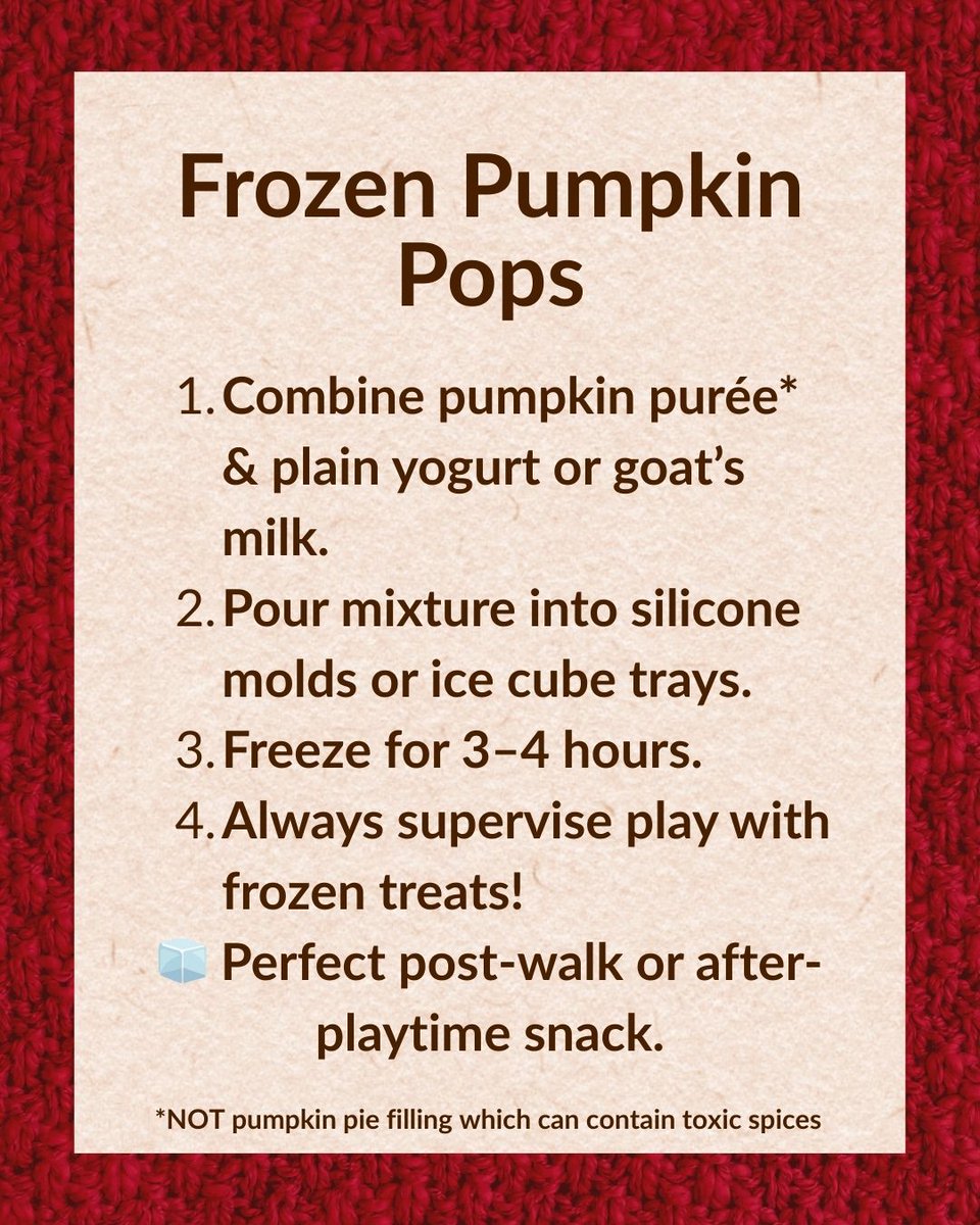 Happy December! 🍂➡️❄️ Fall may be over, but your pumpkins can still be put to good use. Check out some fun ways to repurpose them for your dogs!