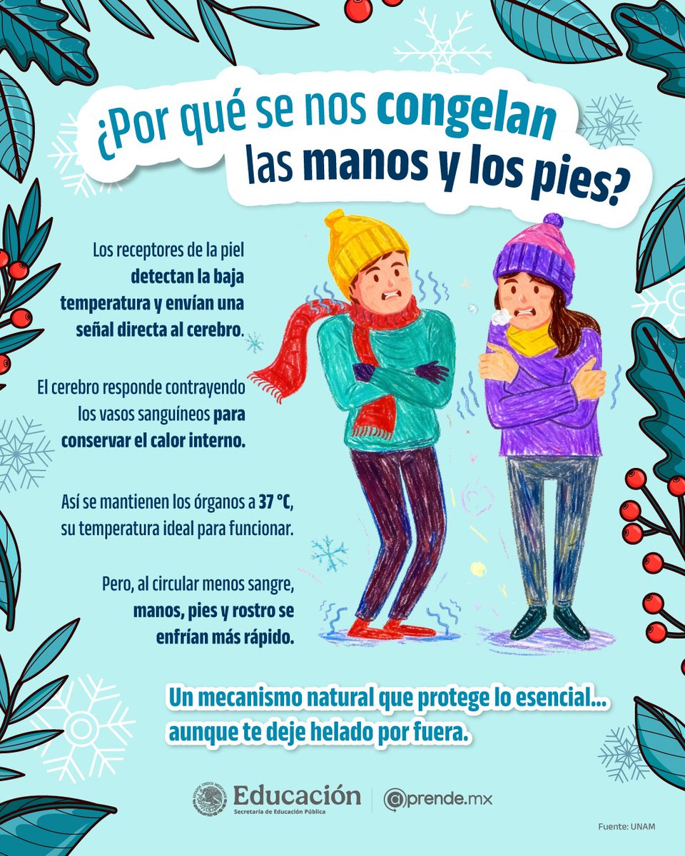 ¿Te has preguntado por qué en el frío se te congelan primero las manos y los pies? ❄️🧤

Tu cuerpo tiene una razón muy clara… y no es la que imaginas. 👀✨