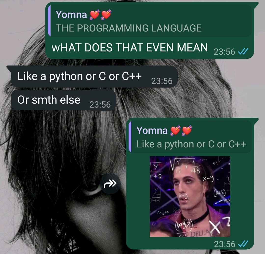 portamiabailar's tweet image. a language student and a programming student trying to communicate