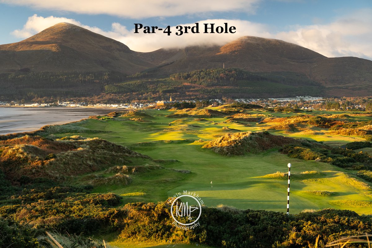 Kevin Markham tweet media