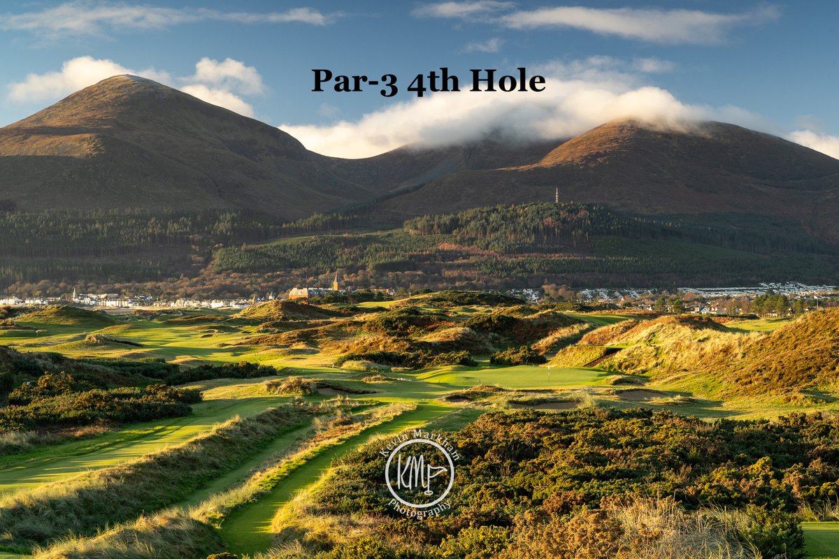 Kevin Markham tweet media